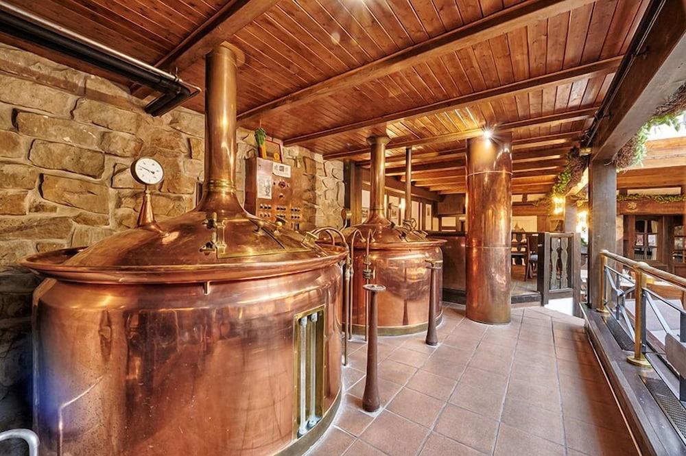 Brauhaus Zum Loewen Hotell Mühlhausen Exteriör bild